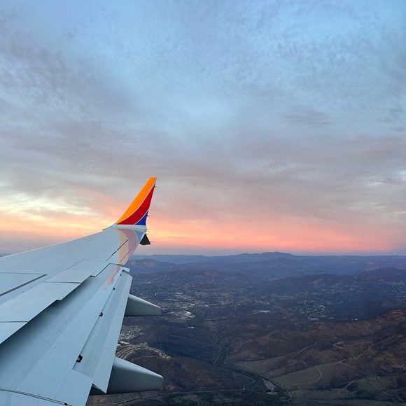 Meet your Posher, Delilah - Picture 6 of 6